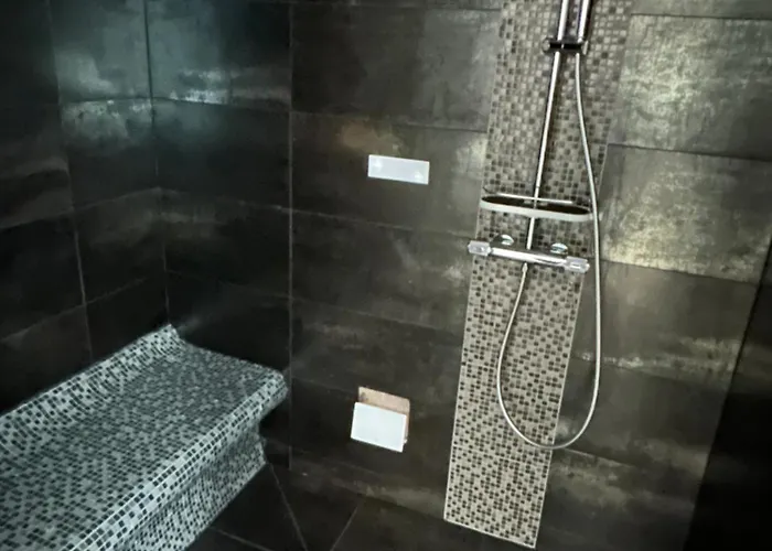 12 Pers, Sur La Dune, Pmr, Spa, Hammam, Salle De Sport *