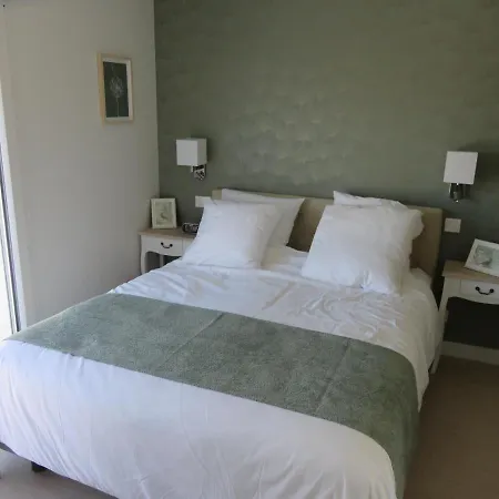 Villa 12 Pers, Sur La Dune, Pmr, Spa, Hammam, Salle De Sport *