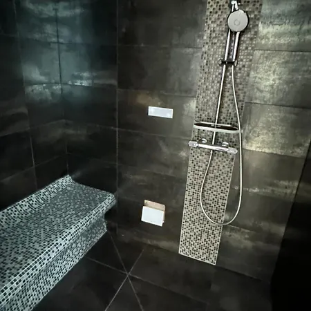 12 Pers, Sur La Dune, Pmr, Spa, Hammam, Salle De Sport *